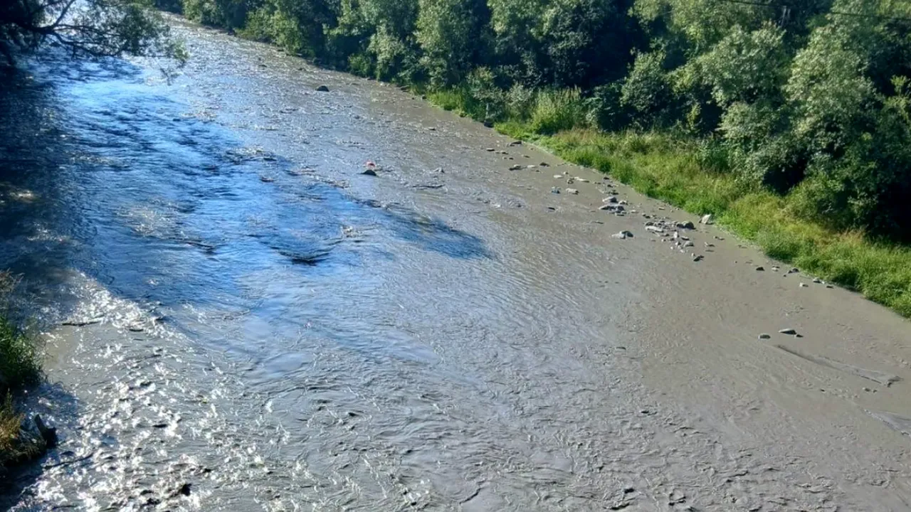 Poluare pe Jiu, după ce o conductă de la iazul de decantare al termocentralei Paroșeni s-a rupt. Ar fi fost afectate fauna și flora acvatică