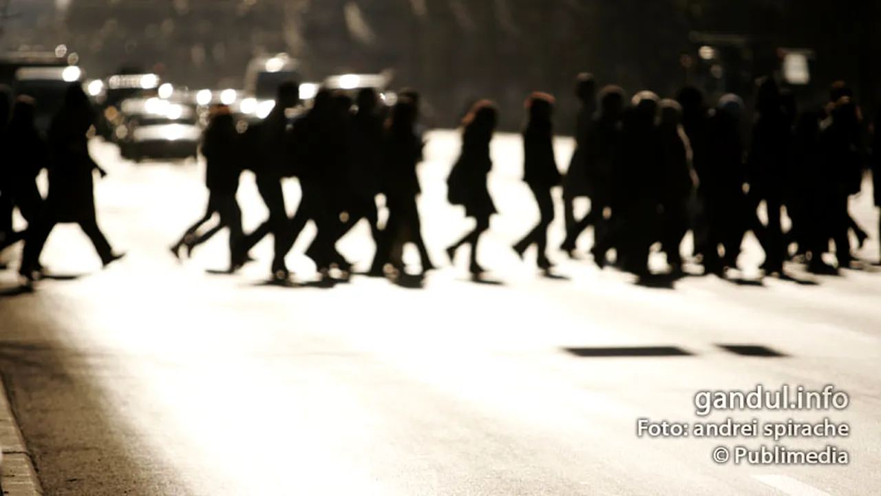 INS confirmă CREȘTEREA ECONOMICĂ de 0,8% la semestru. Valoarea PIB a ajuns la 248,5 miliarde de lei