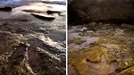 Cea mai mare urmă lăsată de un dinozaur are dimensiunea unui om adult și s-a păstrat până azi. Amprenta de 140 de milioane de ani, descoperită pe o plaja, poate fi văzută de oricine, dar doar câteva ore pe zi