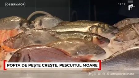 Peștele românesc din Marea Neagră, tot mai rar în galantare! România importă pește și fructe de mare din ȘASE țări
