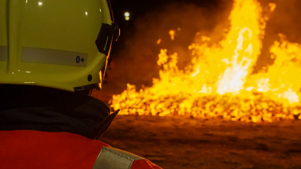 Bilanț negru în urma incendiilor din Los Angeles: 16 persoane au murit