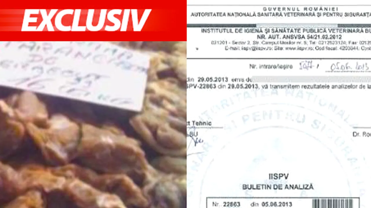 CAMERA ASCUNSĂ: Am cumpărat 