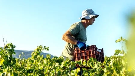 Familie de români din Spania, condamnată la peste 50 de ani de ÎNCHISOARE pentru exploatarea compatrioților lor