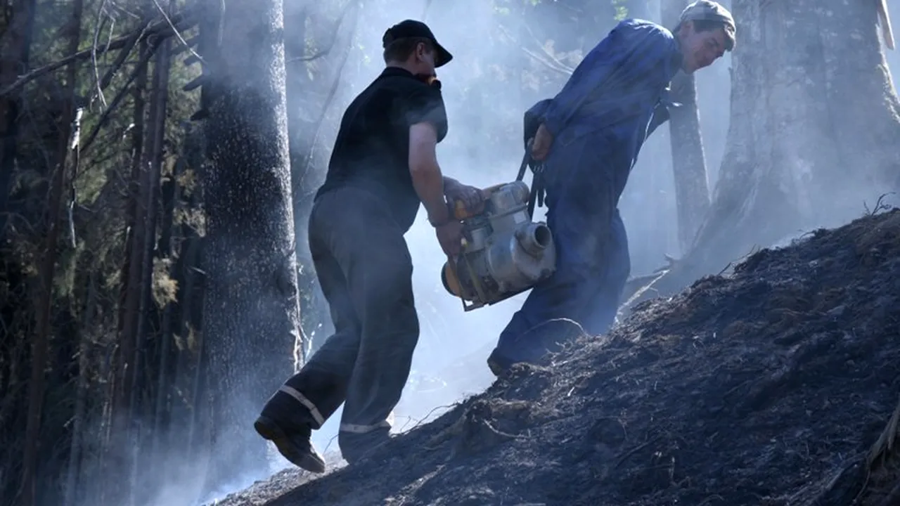 Incendiu puternic în nordul Craiovei, flăcările au mistuit șase hectare de pădure de pin