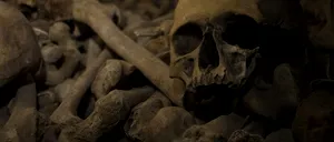 Descoperire macabră la curtea Spitalului nr. 2 Vaslui: Au fost descoperite SCHELETE