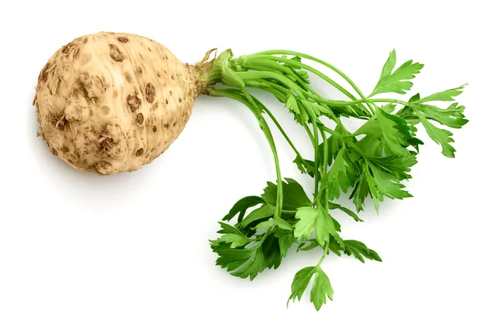 Țelină cu frunze / Sursă foto - caracter ilustrativ: Shutterstock