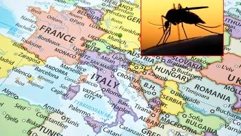 Statul european popular în rândul turiștilor în care s-a detectat un virus tropical. Un bărbat a fost infectat după o înțepătură de țânțar