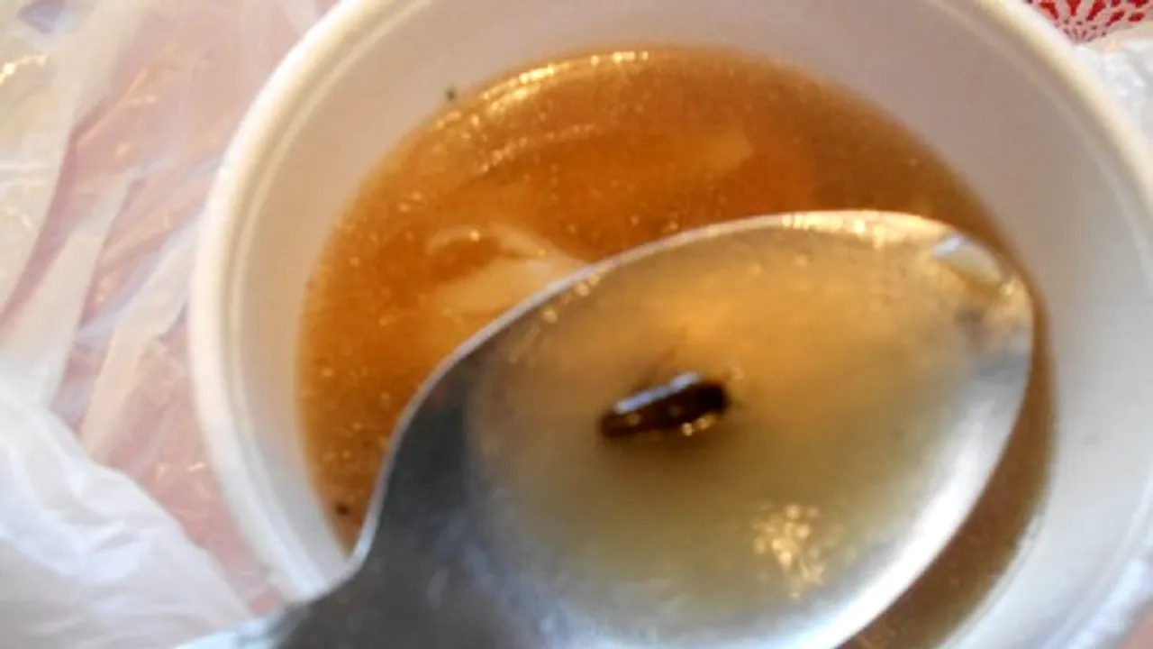 „- Chelner, este o muscă în ciorbă...