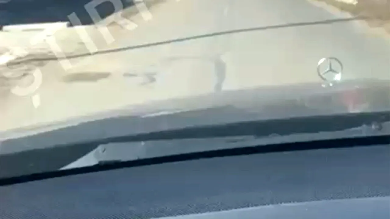 Uitați de cangurul din București! Ce ANIMAL exotic a fost filmat gonind pe o stradă din Cluj