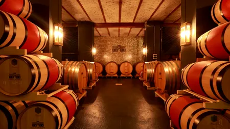 EXCLUSIV | De la crama boierilor Bibescu la casa de licitații. Povestea vinului vândut în premieră la Artmark