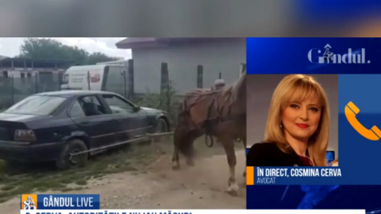GÂNDUL LIVE. Avocatul Cosmina Cerva despre imaginile cu calul chinuit: Imaginile sunt infracțiuni/ Parlamentul ar putea pune mâna pe proiectul care stă în sertarele Camerei Deputaților/ Eu aș face un apel către populație: să sesizăm pe mail la IPJ-urile de poliție