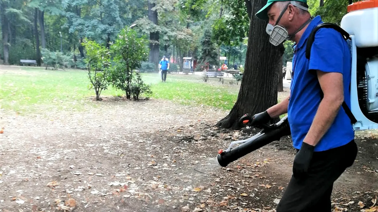 Primăria Capitalei începe tratamentele de deratizare şi dezinsecţie la toate unităţile de învăţământ din București. Când demarează acțiunea