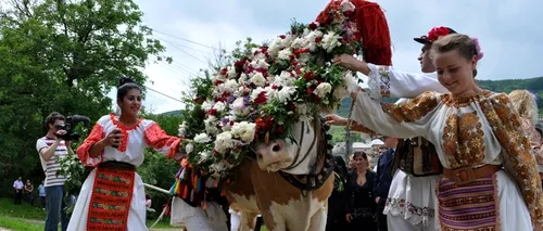 RUSALII 2012 - tradiții neobișnuite.  La Bistrița-Năsăud, are loc Înstruțatul boului