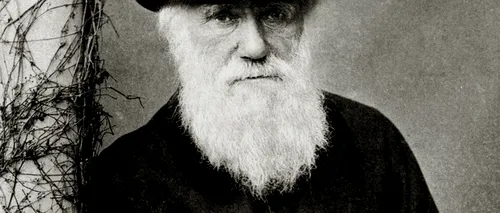 Mai multe scrisori redactate de Charles Darwin, publicate de Universitatea Cambridge 