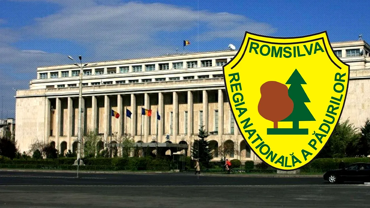Silvicultorii PROTESTEAZĂ în Piața Victoriei împotriva planului ministrului Mediului de reorganizare a Romsilva