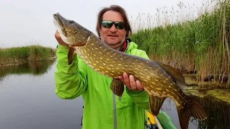 Fostul guvernator al Deltei Dunării, despre proiectul Legii Pescuitului: ”Apele publice trebuie să fie ale marelui public, nu concesionate unor profitori cu plase care alimentează piața neagră”