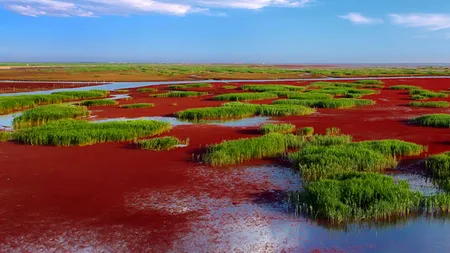 Fenomenul unic în lume care se întâmplă pe o plajă din China. Nimeni nu crede că aceste imagini sunt reale