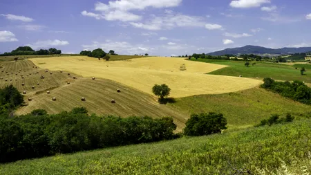 Român dat dispărut în Italia a fost găsit după 12 zile. A supravieţuit doar cu apă şi mere
