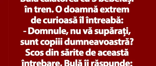 BANC | Bulă călătorea cu 3 bebeluși în tren