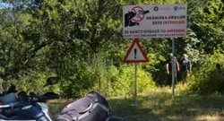Evacuare motociclist omorât de urs, la Vidraru, cu ursoaica pe urme/ Ion Sănduloiu: „L-a tras în râpă, 60 m. Motocicleta se pare că este de Italia”
