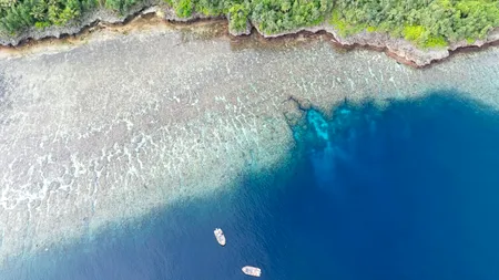 Descoperirea misterioasă din Indonezia care ar putea RESCRIE istoria evoluției umane. Este un instrument vechi de 1,5 milioane de ani