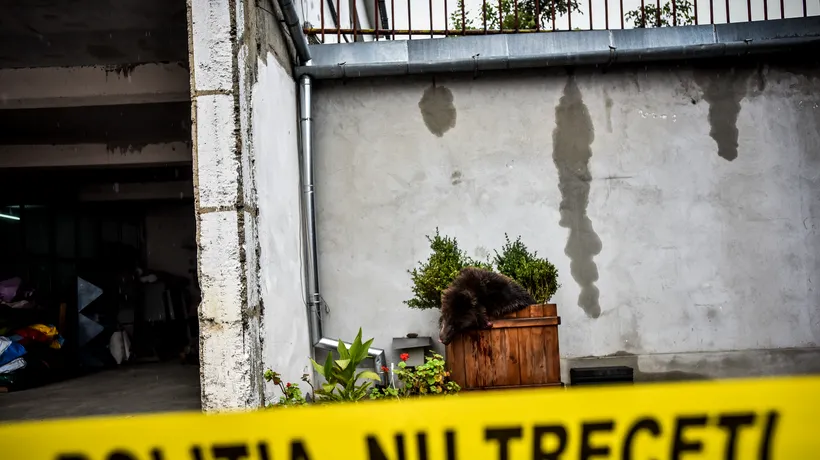 ANSVSA a demarat o anchetă în cazul uciderii ursului de la Sibiu