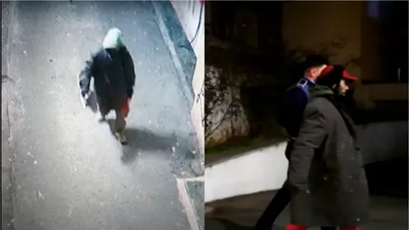 Un bărbat de 44 de ani, arestat preventiv în cazul câinelui găsit spânzurat de o țeavă de gaze în București