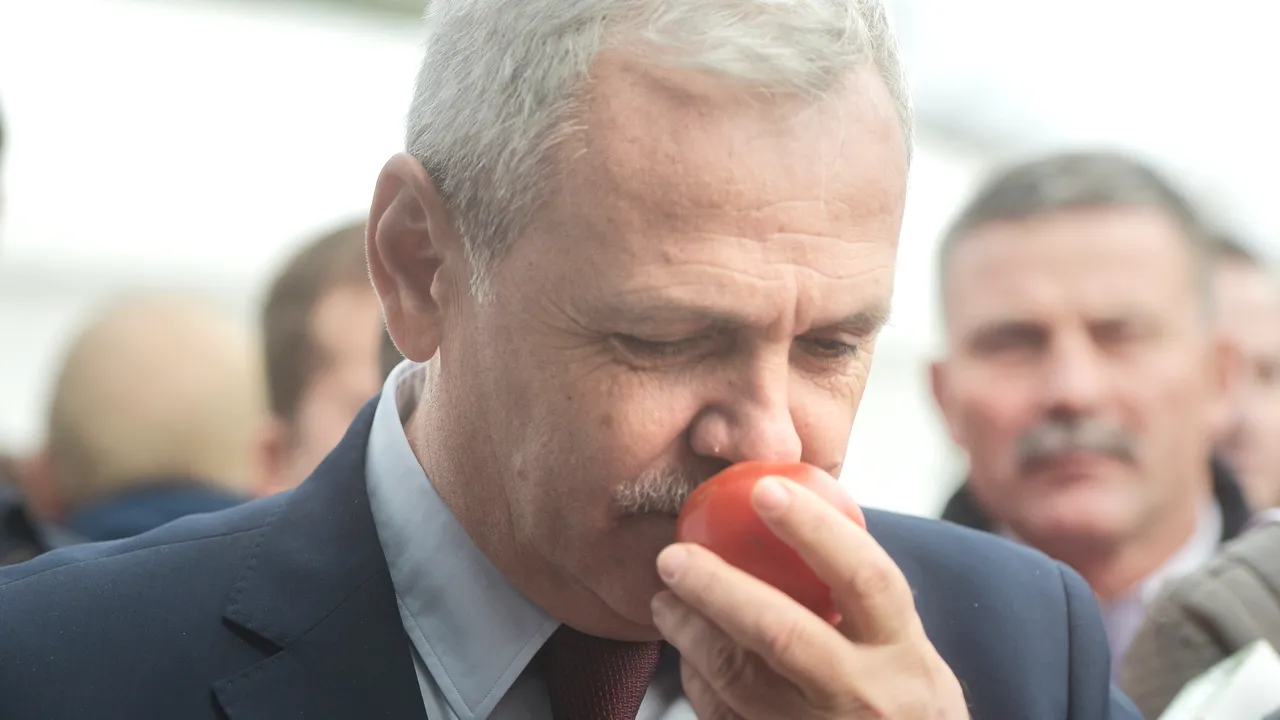 Dragnea, despre ce va conține legea dublului standard: Se confiscă tot lotul de marfă