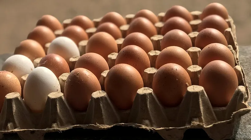 România are printre cele mai mici PREȚURI la ouă vândute la poarta fermei. Cât costă, însă, în magazine