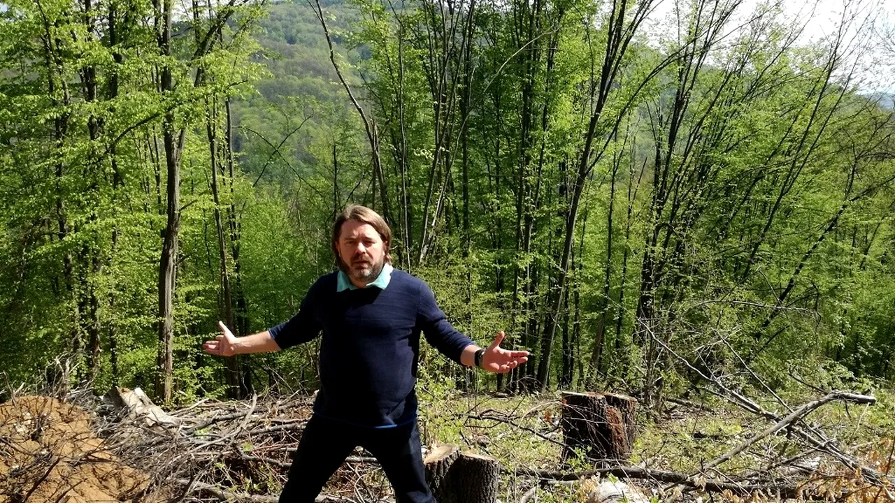 Senatorul Mihai Goțiu: „Un brigadier silvic a fost găsit spânzurat, iar un pădurar din subordinea lui ar fi încercat să se sinucidă cu o supra-doză de medicamente”