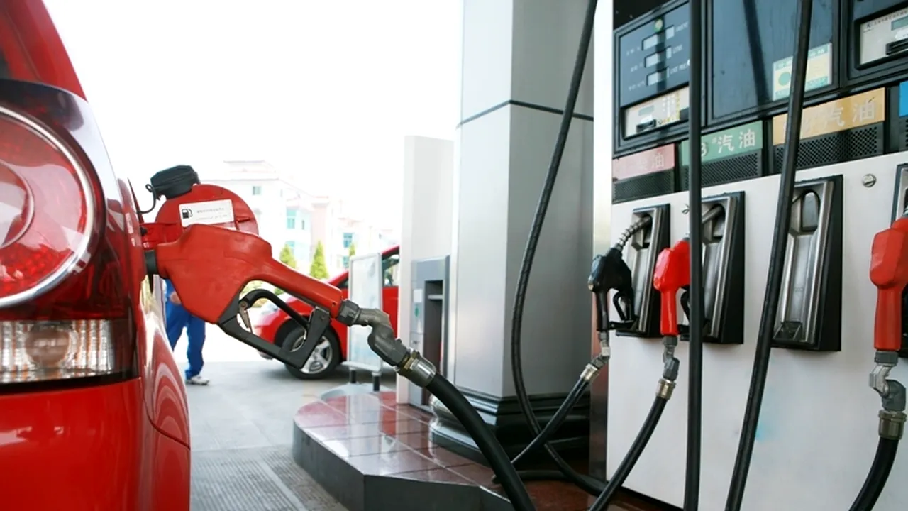 Compania petrolieră sârbă NIS vrea să înceapă lucrări seismice în România
