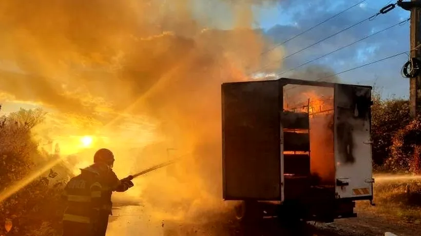 Un camion cu 65 de stupi de ALBINE a fost distrus de un incendiu