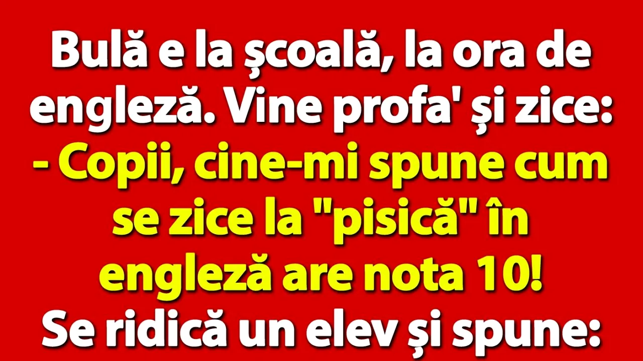 BANC | Bulă e la școală, la ora de engleză. 