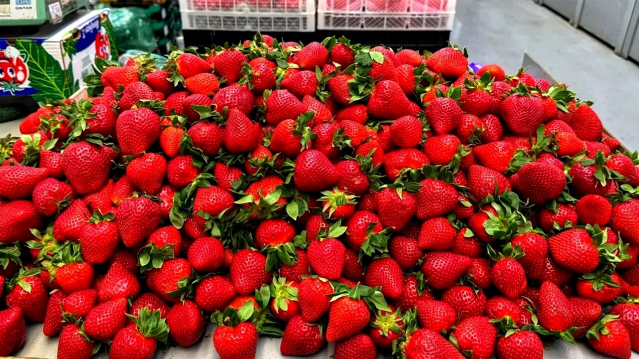 Cât costă 1 kilogram de căpșune românești în Carrefour, acum, pe final de lună mai