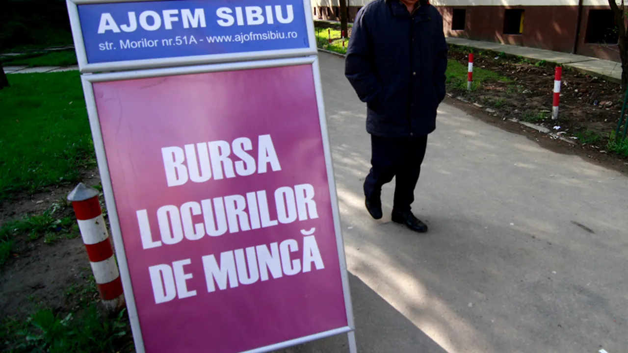 Peste 10.700 de locuri de muncă vacante la nivel național. Județele cu cele mai multe oferte