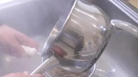 Prima FERMĂ DE INSECTE din Londra îi îmbie pe consumatori cu VIERMI și GREIERI