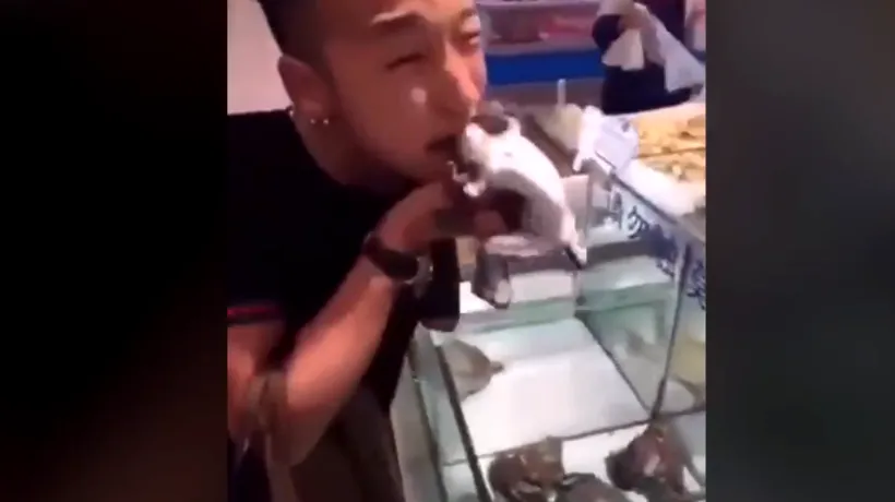 VIDEO Chinez surprins în timp ce mânca o broască vie: Nu ma mir că a început să se răspândească coronavirus 