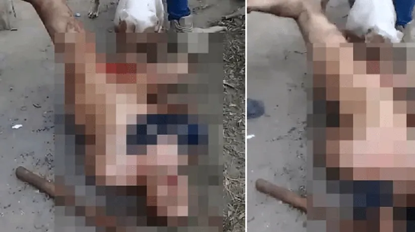 Bărbat castrat de un pitbull, după ce ar fi violat o femeie / A fost ținut de cinci „justițiari, în timp ce animalul feroce l-a lăsat fără „bărbație