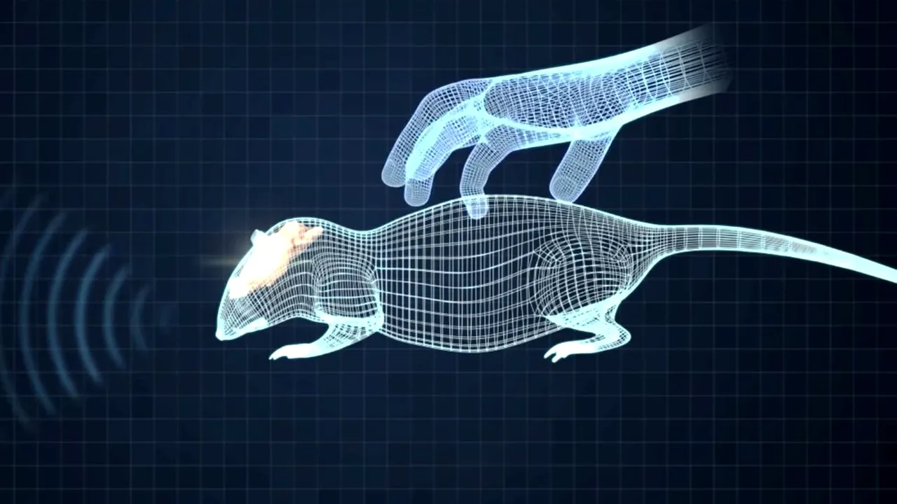 Melancolia dresorului de șobolani și CEX-ul PSD
