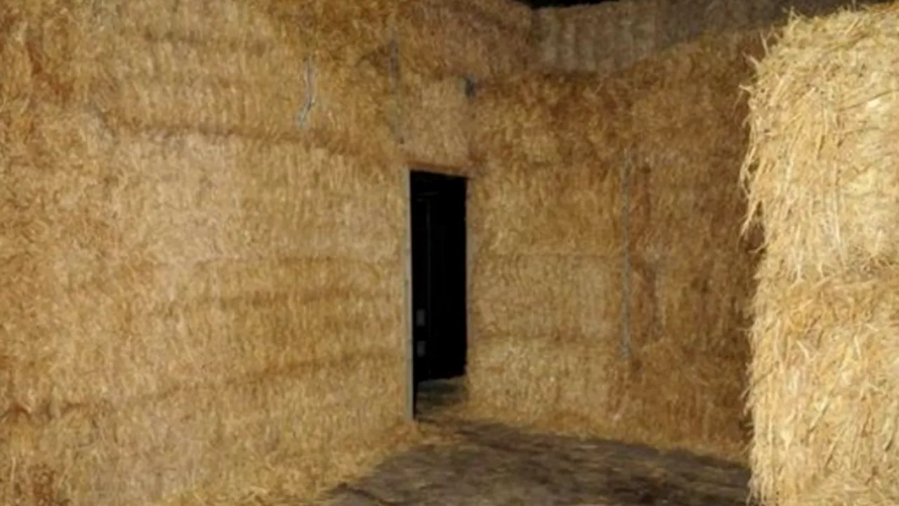 Descoperirea de 1 milion de lire făcută de poliția britanică sub o căpiță de fân