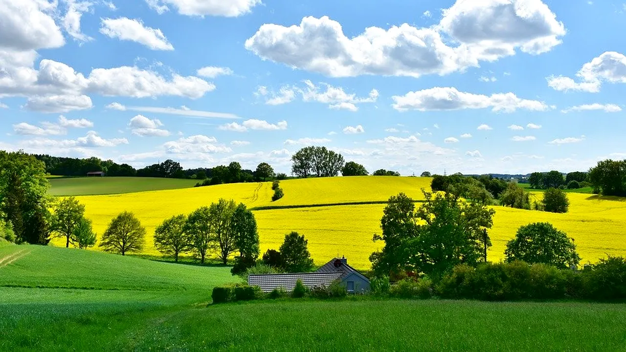 AGRICULTURĂ: Fermierii români învață ce înseamnă agricultură durabilă. Când încep cursurile GreenFields Academy