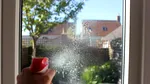 De ce să stropești ferestrele cu usturoi. Metoda te scapă de o mare problemă din timpul verii