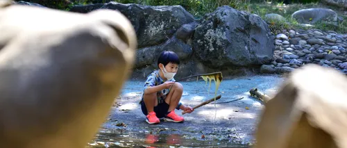 Grădina Japoneză din Herăstrău, locul unde se admiră florile de cireș, este în stare de degradare: „Specialiștii noștri știu doar să taie iarba. Este greu să întreții o astfel de amenajare” | GALERIE FOTO