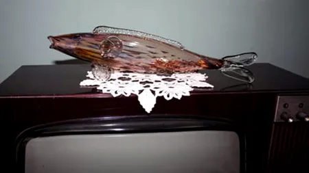 Spiciul peştilor de pe televizor