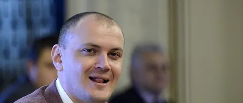 De ce a revocat Curtea de Apel Ploiești arestarea preventivă a lui Sebastian Ghiță