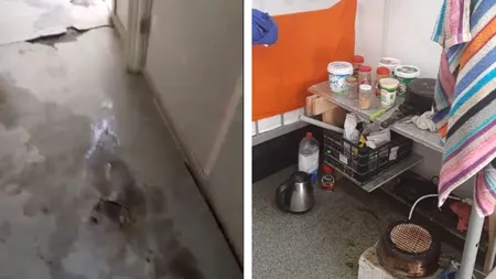 Condiții de neimaginat pentru muncitorii străini, tratați ca sclavi în România: „Într-o Românie în care ne certăm că nu există COVID, oamenii ăștia purtau mască” (EXCLUSIV)