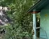 Peisaj dezolant în tabăra pentru școlari de la Ciric. Superba zonă care găzduia mii de elevi, lăsată în paragină