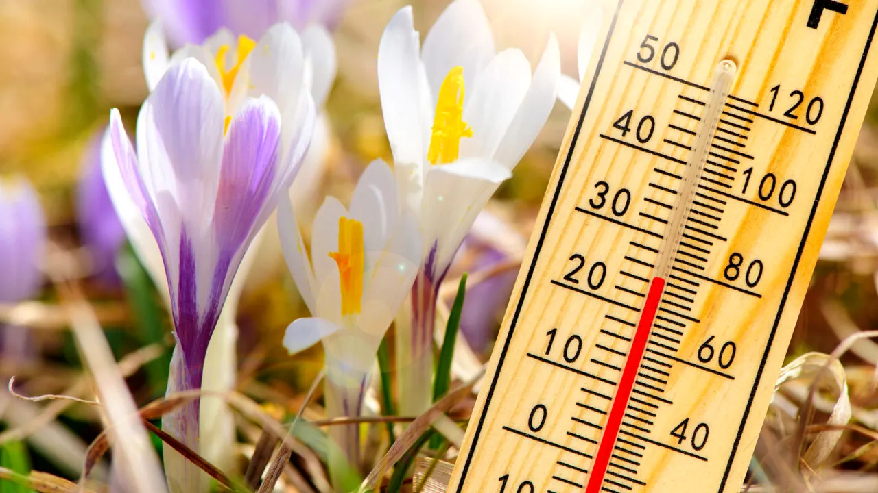 Val de aer tropical în România în zilele următoare. Se vor înregistra temperaturi mult mai mari decât cele normale