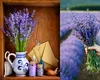Nu arunca lavanda uscată! Cum te-ar putea scăpa de o mare problemă această plantă