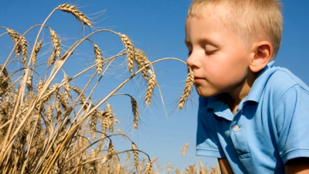 STUDIU. Poluarea poate determina apariția alergiei alimentare la copii